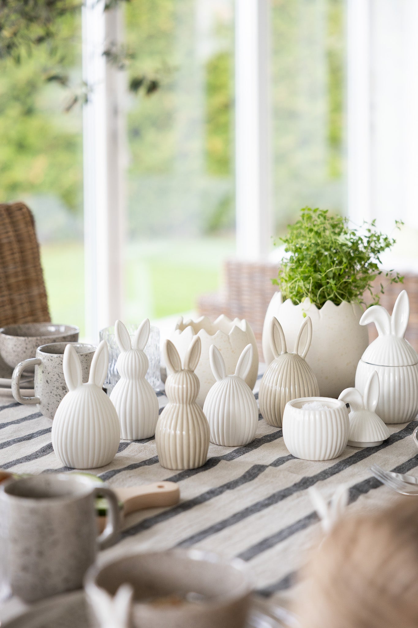 Hase "Alba"