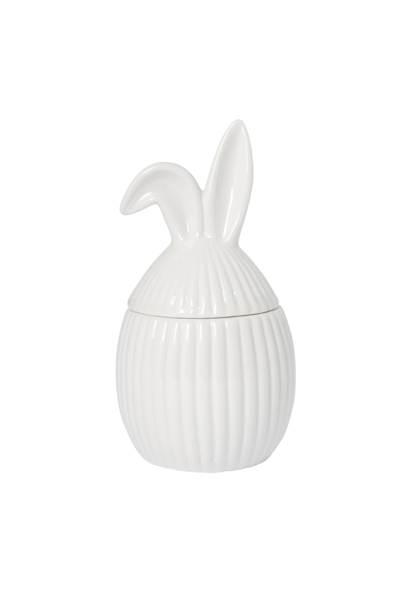 Hase "Alba"