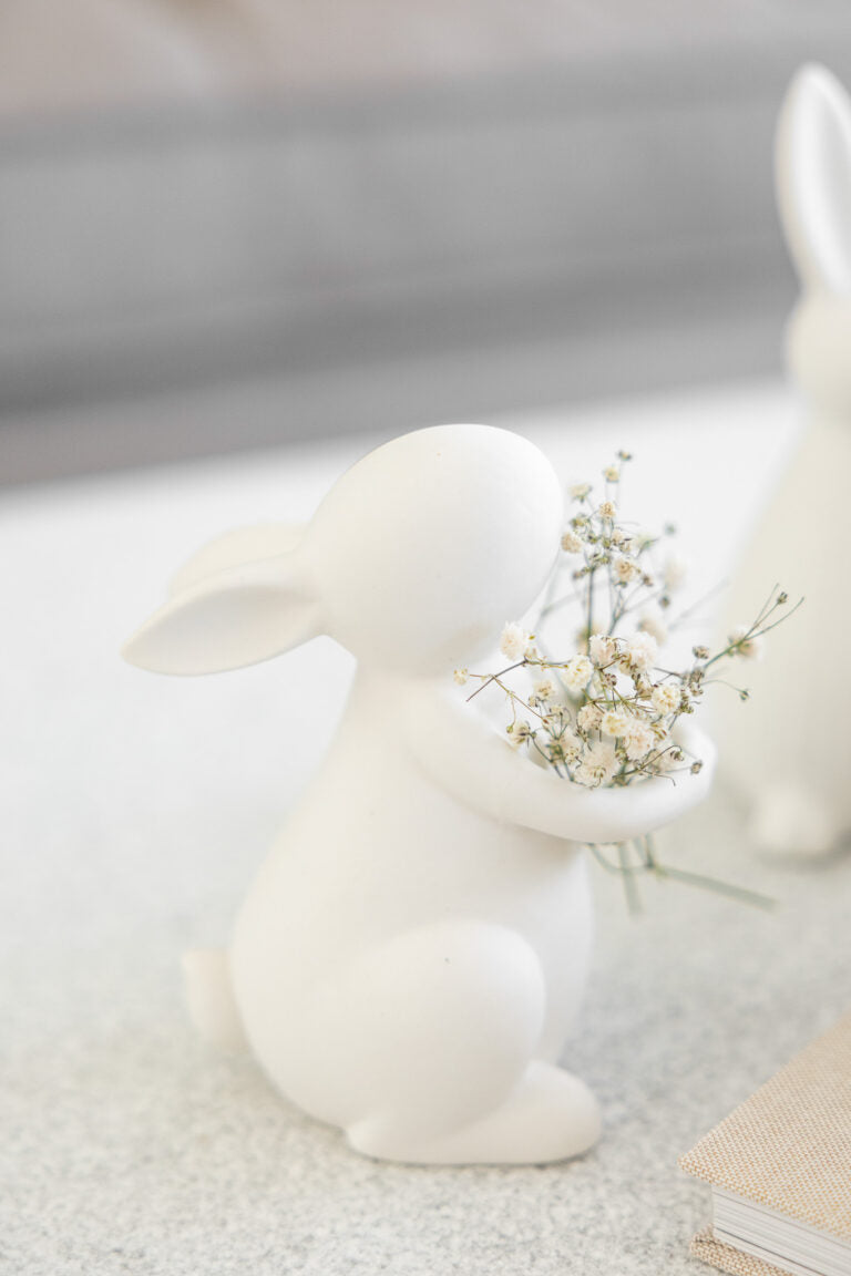 Hase "Joar"