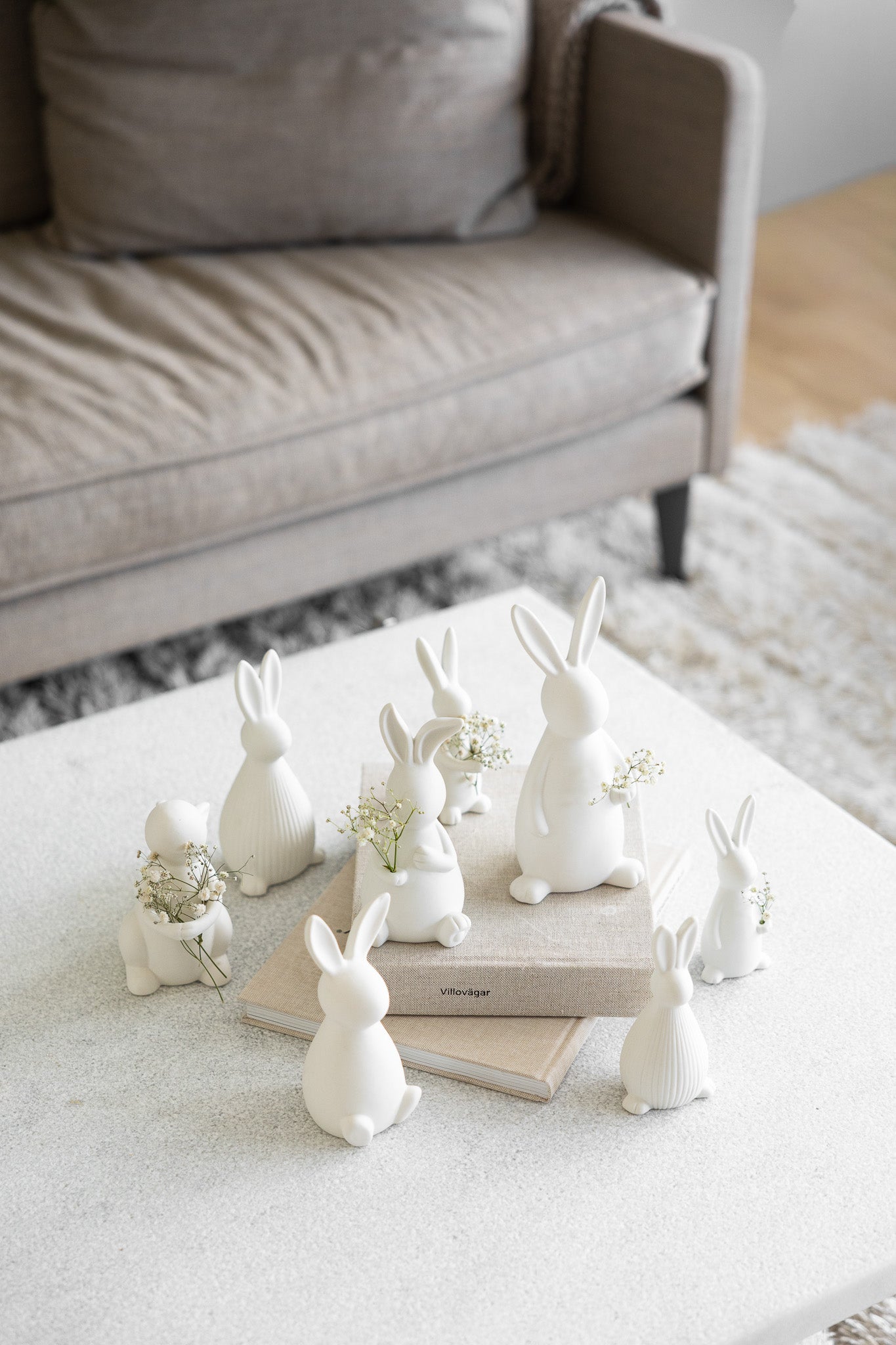 Hase "Joar"
