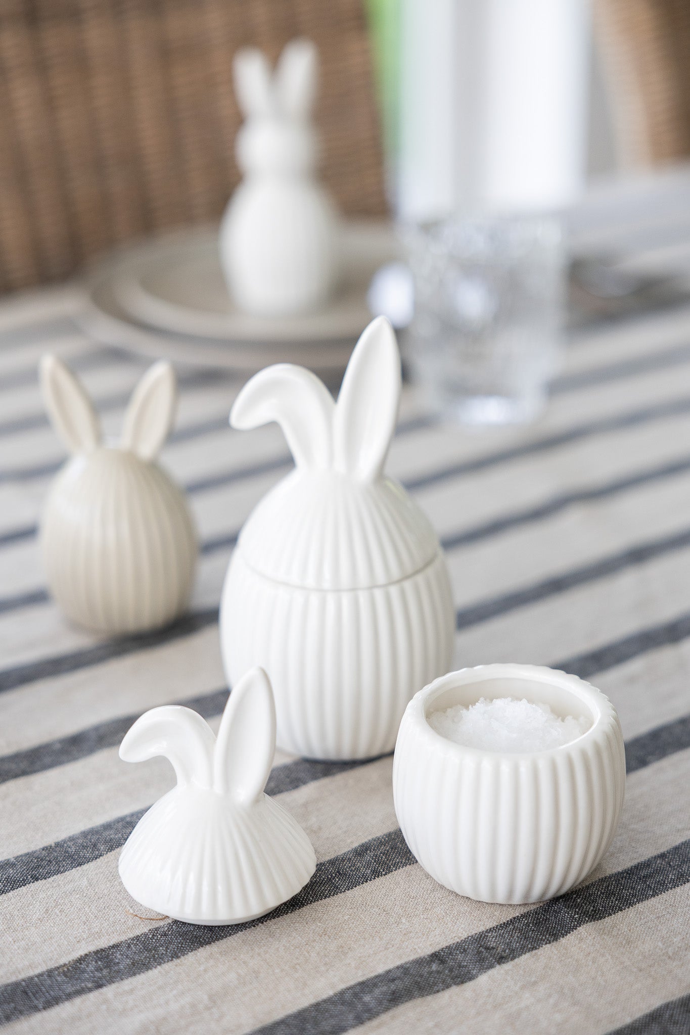 Hase "Alba"